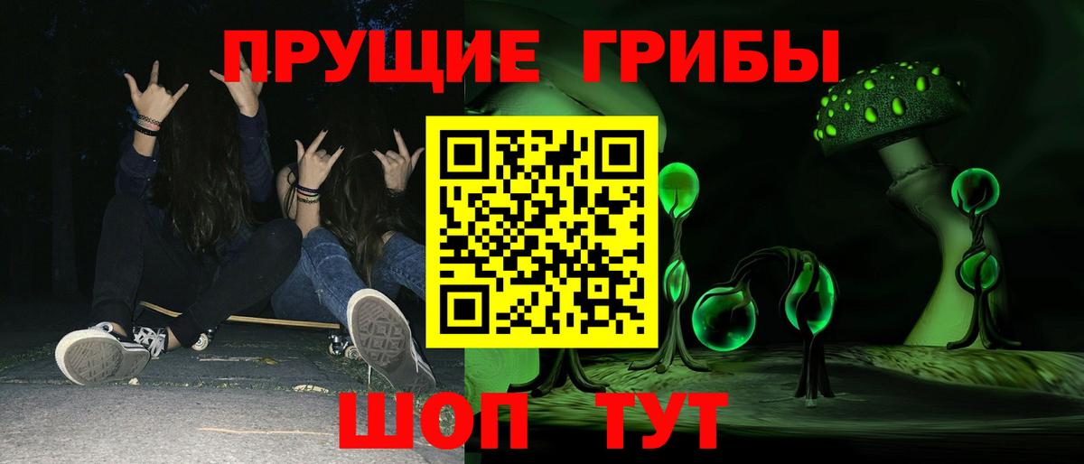 Псилоцибиновые грибы Psilocybine cubensis Красноярск