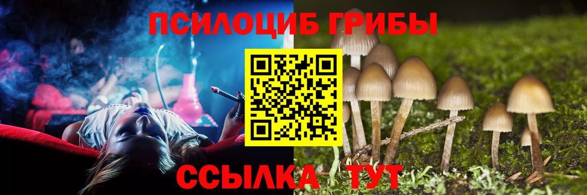 Галлюциногенные грибы Psilocybe  Вход с VPN  Красноярск 